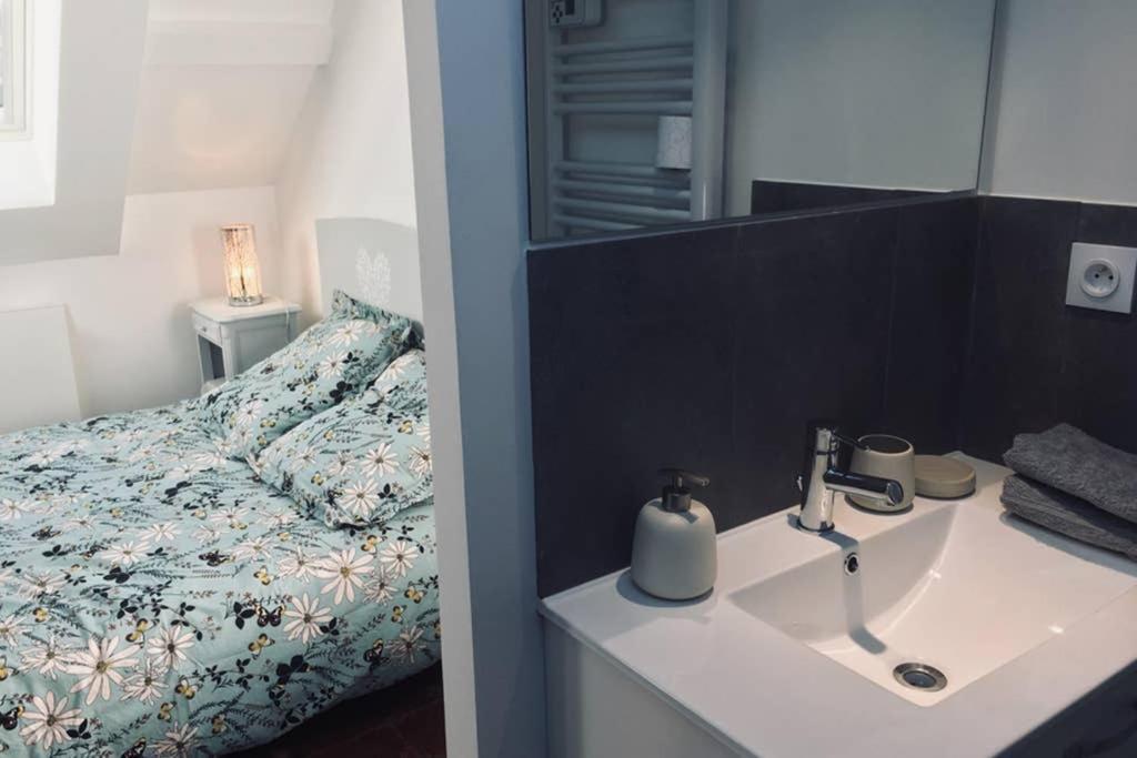 Tonnerre Grand Studio De Charme Au Coeur De La Ville 外观 照片